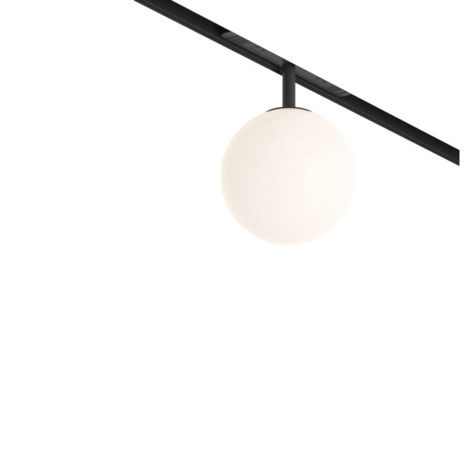Трековый светильник MAYTONI LUNA TR038-4-5WTW-DD-B