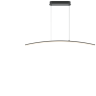 Подвесной светильник MAYTONI LIGHT REFLECTION MOD243PL-L18BK